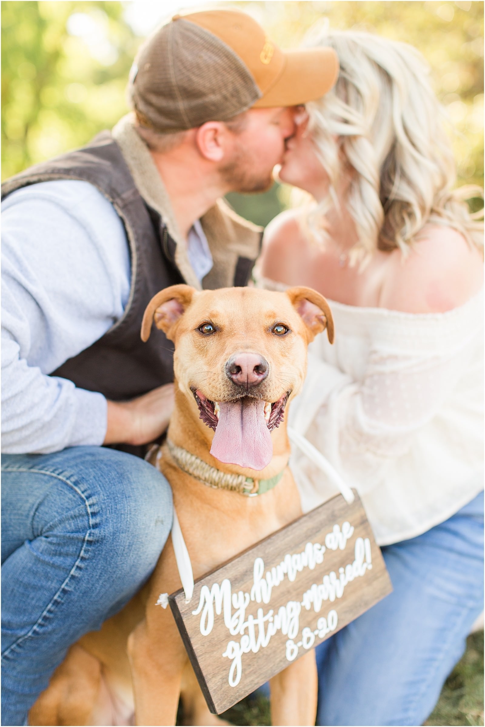 Evansville Wedding Photographers | Tips for Including Pets on Wedding Days | Bret and Brandie0006.jpg