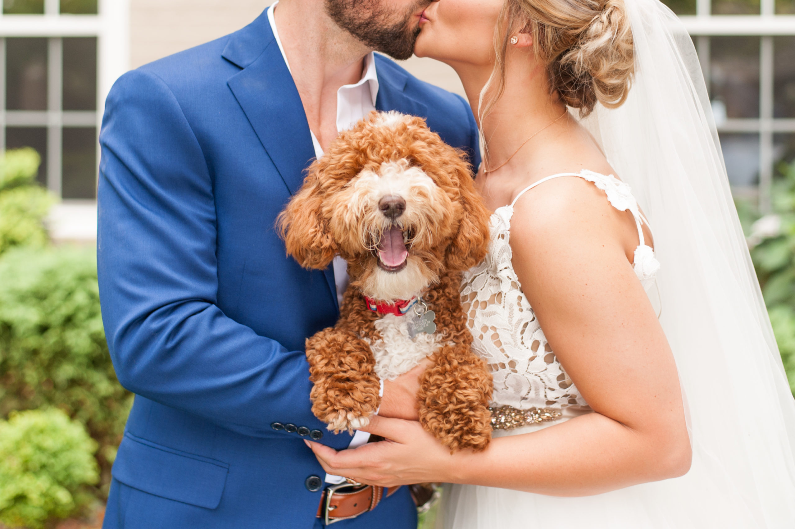 Evansville Wedding Photographers | Tips for Including Pets on Wedding Days | Bret and Brandie0008.jpg