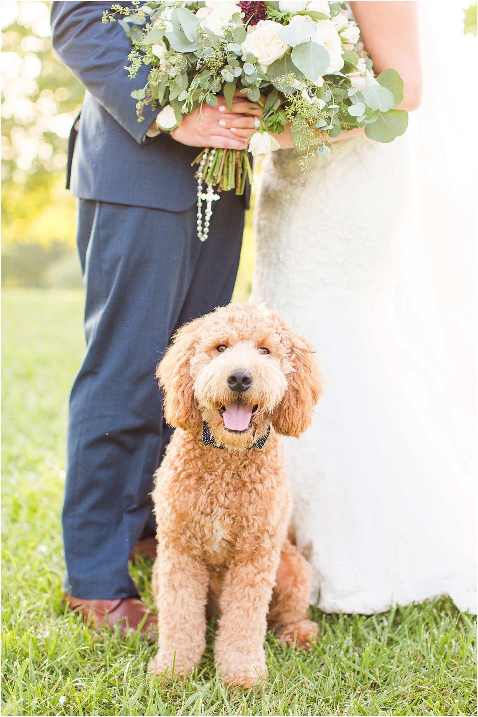 Evansville Wedding Photographers | Tips for Including Pets on Wedding Days | Bret and Brandie0012.jpg
