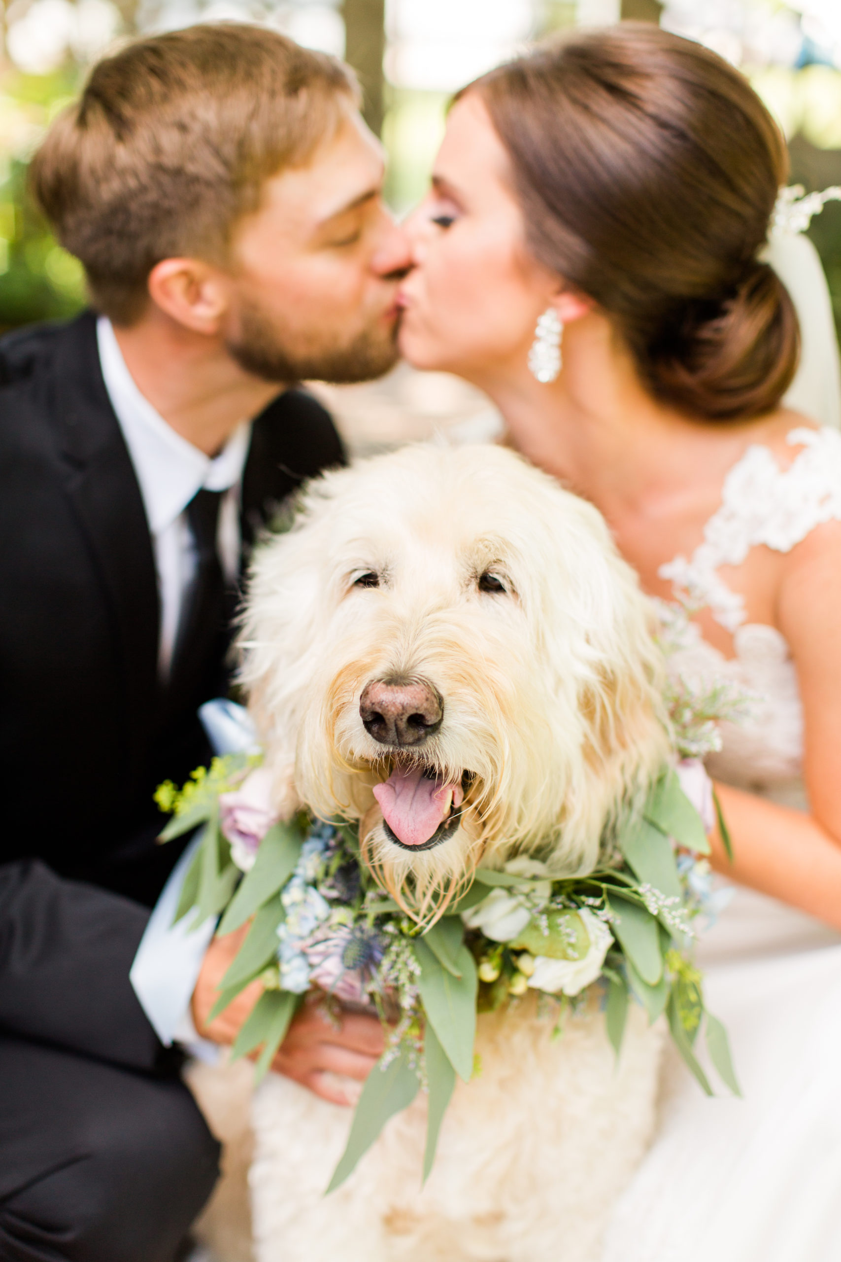 Evansville Wedding Photographers | Tips for Including Pets on Wedding Days | Bret and Brandie0019.jpg