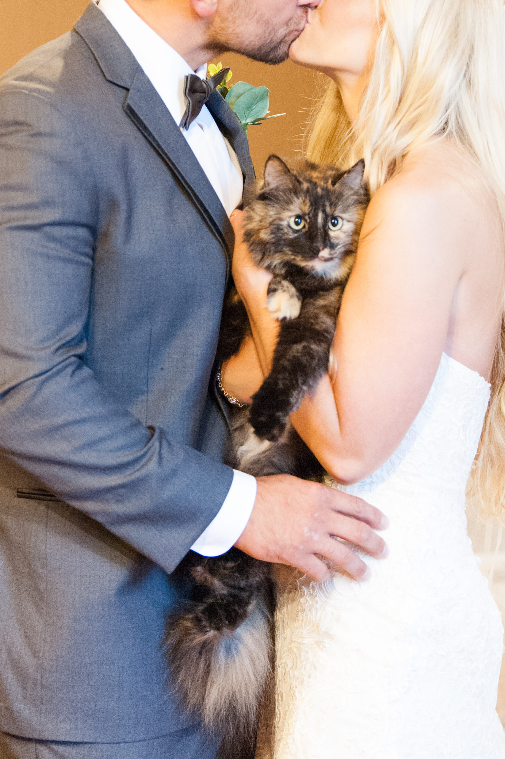 Evansville Wedding Photographers | Tips for Including Pets on Wedding Days | Bret and Brandie0023.jpg